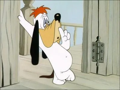 Quel est ce dessin animé ?