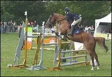 Comment s'appelle cet obstacle ?