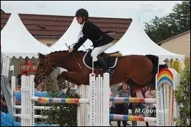 Comment s'appelle cet obstacle ?