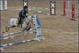 Comment s'appelle cet obstacle ?