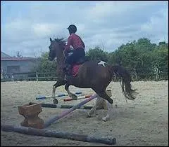 Comment s'appelle cet obstacle ?