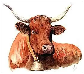 Ma pte est persille et j'ai t cr par un fermier exceptionnel  Louis Roussel  en 1850. Que suis je ?