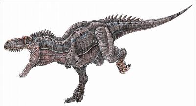 L'Albertosaurus vivait combien d'annes environ avant notre re ?