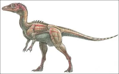 Lequel de ces dinosaures est considr comme le plus ancien ?