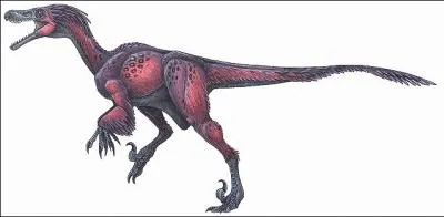 Quel cousin du Velociraptor s'est attribu, par erreur, le nom de celui-ci dans  Jurassic Park  ?