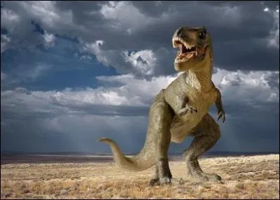 De combien de kilos de viande avait besoin le Tyrannosaurus Rex chaque jour au minimum ?