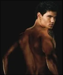 Quelles sont ses professions ?