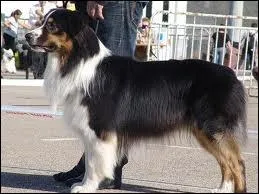 Il y a celle-l aussi...