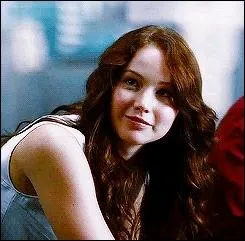 Que peignent les drogus du district 6 lors de l'entranement de la seconde expiation sur les joues de Katniss ?