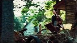 Combien mesure le trou dans le grillage par lequel passe Katniss pour aller dans les bois ?