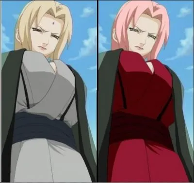 Qui a t son sannin aprs Kakashi ?