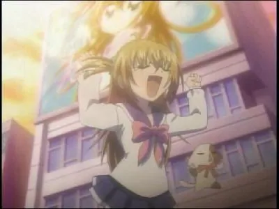 Cette image est dans quelle saison :