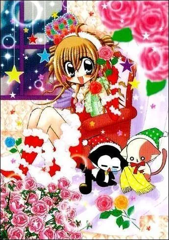 Quand tu regardes cette image, c'est ?