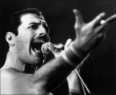 Officiellement, de quelle maladie est dcd Freddie Mercury ?
