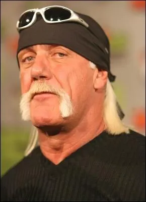 Dans le sport qu'il pratiquait en tant que professionnel, qui Hulk Hogan pourrait-il affronter aujourd'hui ?