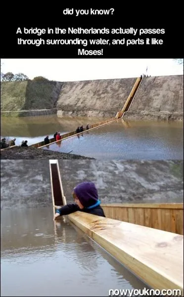 C'est le nyk-bridge, l'un des  ponts  les plus extraordinaires du monde ! Il est aux Pays-bas, et fait penser ?