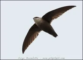 Le deuxime plus rapide avec ses 169. 6 kilomtres/heure...