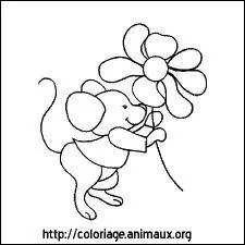 Vocabulaire : Fleur surnomme  rose de Chine  ou  ketmie .