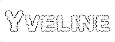 Quel est le numro du dpartement des Yvelines ?