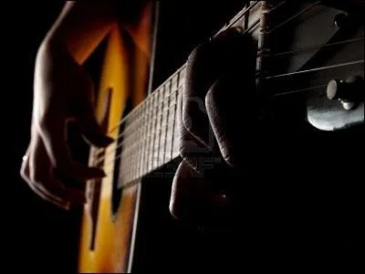 Quel chanteur a déclaré dans une chanson : ''J'ai la guitare qui me démange'' ?