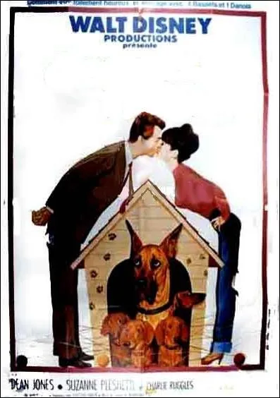 Mark Garrison, artiste peintre, et sa femme, possdent une chienne teckel nomme Dank... . Film amricain de Norman Tokar, sorti en 1966.