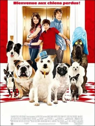 Deux adolescents orphelins rcuprent les chiens errants et les hbergent dans un htel abandonn... . Film de Thor Freudenthal de 2009 avec Emma Roberts, Jake T. Austin.