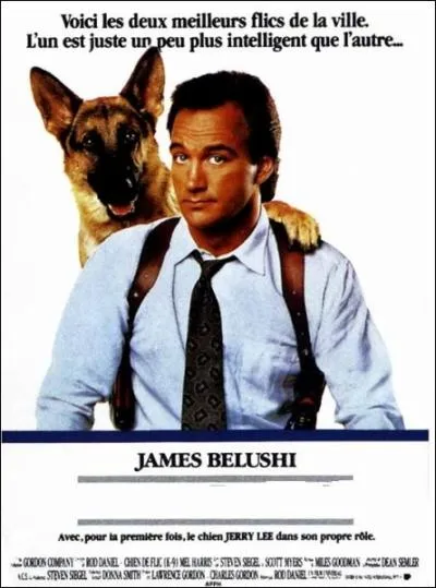 L'Inspecteur Mike Dooley doit contre son gr faire quipe avec un partenaire original : Jerry Lee, un berger allemand. Film amricain ralis par Rod Daniel en 1989.