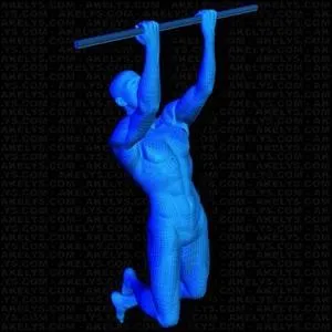 L'exercice de la traction tend  renforcer principalement deux muscles. Lesquels ?