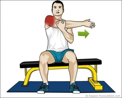 Quel muscle cet homme tire-t-il ?