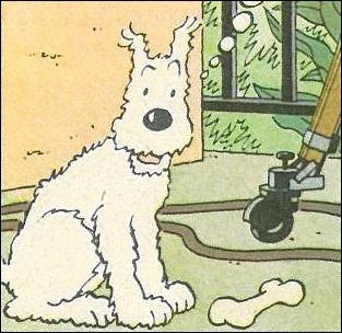 Quel est le nom de cet insparable compagnon de Tintin ?