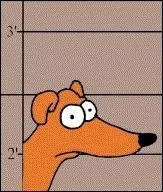 Invent par Matt Groening, comment s'appelle ce chien des clbres Simpson ?