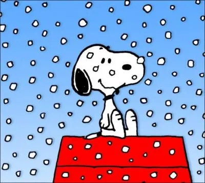 Quel nom porte ce personnage canin invent par Charles M. Schulz ?