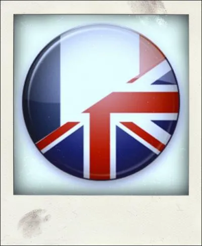 Quel mot franais est identique en anglais ?