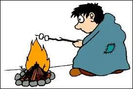 Il existe combien de type de propagation de la combustion ?