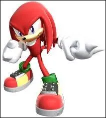 Notre chidn prfr est aussi un personnage secondaire dans Sonic Rush. Que fait Blaze envers lui ?