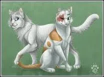 Comment s'appelle ce couple de flins ?