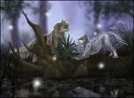 Comment s'appelle ce couple de flins ?