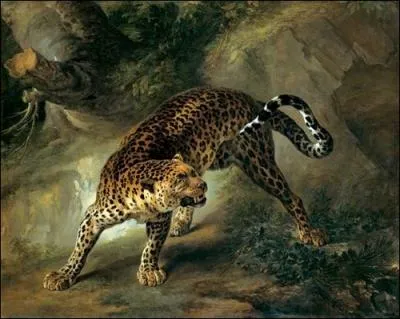 The Leopard rococo