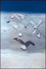 Les mouettes (mars 1955)