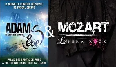 Quel est le chanteur commun  ces 2 comdies musicales ?