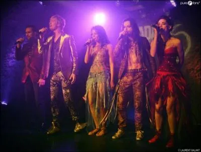 Qui sont les chanteurs de cette comdie musicale ?