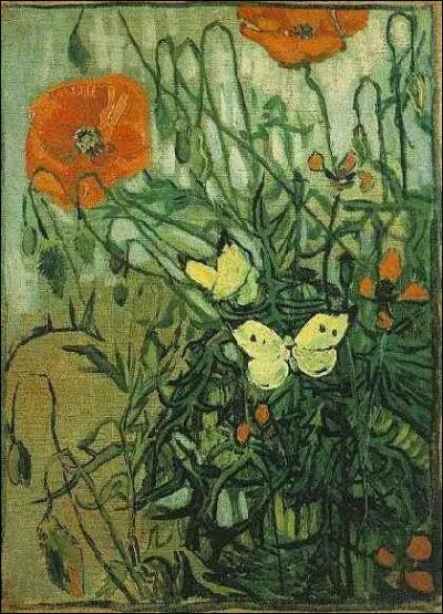 Coquelicots et papillons