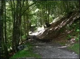 La suite de : Sentier ...