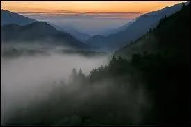 Cochez la suite : Brume ...