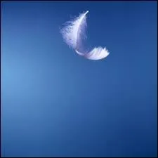 Quelle est la suite de : Plume ...