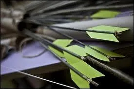 Cochez la suite : Flche ...