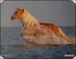 Quelle est cette robe ?