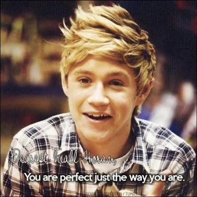 Louis a quatre surs, Zayn a trois surs, Liam a deux surs, Harry a une sur. Et puis il y a Niall, qui a...