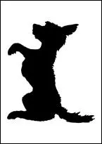 Mon 1er était 
Mon 2e est né 
Mon 3e coupe le poil très ras 
Mon tout qualifie parfois un beau.