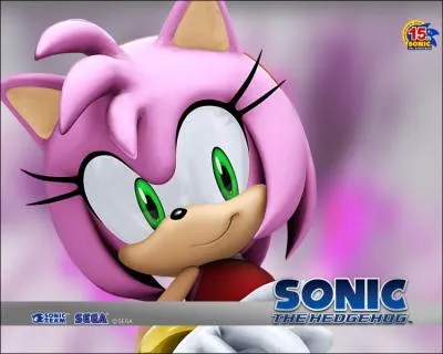 On sait tous qu'Amy aime beaucoup Sonic... mais d'o vient cette adoration ?